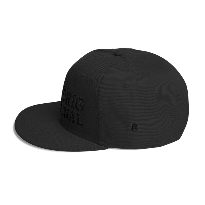 574 o·rig·i·nal Snapback V2